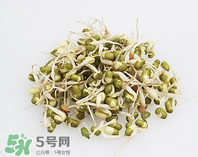 黃豆芽能做餡料嗎？黃豆芽餡包子怎么做？
