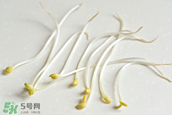 黃豆芽能做餡料嗎？黃豆芽餡包子怎么做？
