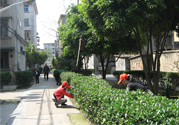 春天吃什么養(yǎng)肝？春季吃什么養(yǎng)肝護(hù)肝？