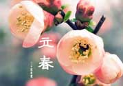 立春后種什么花？立春時(shí)開的花有哪些？