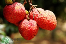 吃荔枝會(huì)過(guò)敏嗎？吃荔枝過(guò)敏怎么辦？