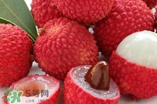 荔枝能放多久？荔枝可以放幾天？