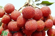 孕期吃荔枝會(huì)流產(chǎn)嗎？孕婦吃荔枝會(huì)好嗎？