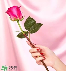 kate spade2017情人節(jié)包包多少錢？凱特絲蓓2017情人節(jié)包包哪里買？