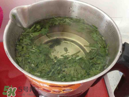 香菜煮水洗腎是真的嗎？香菜煮水洗腎是真的嗎