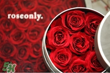 roseonly是怎么火起來的？roseonly值得買嗎？