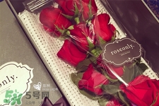 roseonly鮮花怎么保養(yǎng)？roseonly永生花怎么保養(yǎng)？