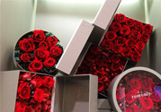roseonly是怎么火起來的？roseonly值得買嗎？