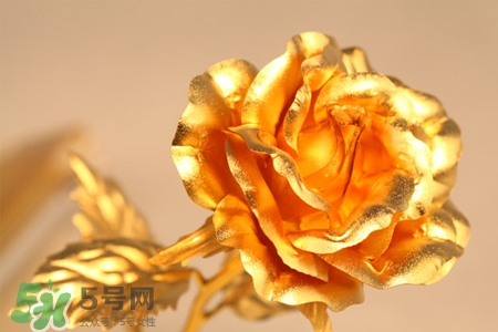 情人節(jié)可以送金玫瑰嗎？情人節(jié)送金玫瑰好嗎？