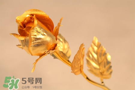 情人節(jié)可以送金玫瑰嗎？情人節(jié)送金玫瑰好嗎？