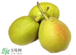 香梨多少錢一斤？香梨怎么挑選？