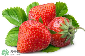 小孩多吃草莓好嗎？小孩可以摘草莓嗎？
