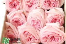鮮花怎么養(yǎng)？鮮花怎么養(yǎng)放的比較久？