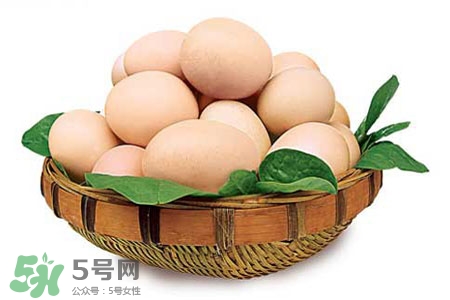 禽流感可以吃雞蛋嗎？禽流感期間能吃雞蛋嗎？