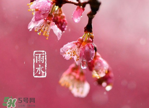 雨水吃什么？雨水節(jié)氣飲食禁忌？