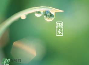 雨水吃什么？雨水節(jié)氣飲食禁忌？