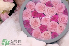 玫瑰花怎么養(yǎng)？玫瑰花怎么養(yǎng)久一點？