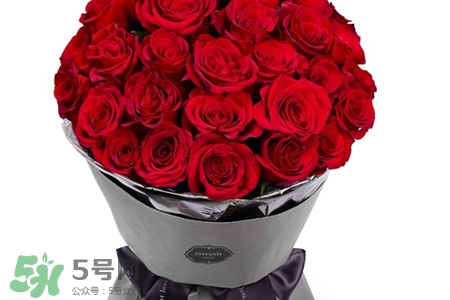 玫瑰花放在水里怎么養(yǎng)？玫瑰花插水里怎么養(yǎng)？