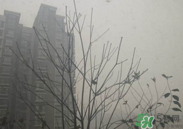霧霾天開(kāi)空調(diào)會(huì)不會(huì)污染室內(nèi)空氣？