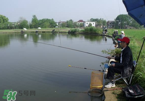 春天釣魚用什么餌料？春天釣魚用腥還是香？