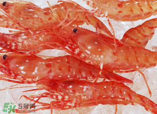 凍蝦能放多久？?jī)鑫r放冰箱冷藏多久？