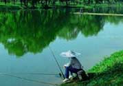 春天釣魚用什么餌料？春天釣魚用腥還是香？