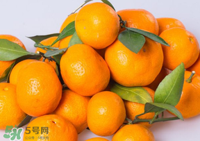 桔子批發(fā)多少錢(qián)一斤？桔子多少錢(qián)一斤？