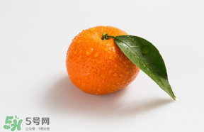 桔子批發(fā)多少錢(qián)一斤？桔子多少錢(qián)一斤？