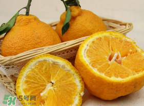 丑橘少錢一斤？丑橘一斤幾個？