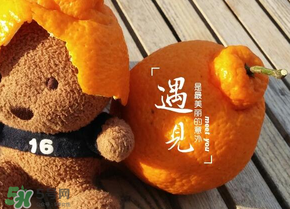 丑橘少錢一斤？丑橘一斤幾個？