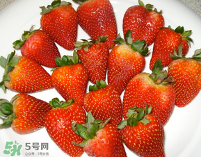 奶油草莓是什么品種？奶油草莓和巧克力草莓的區(qū)別 