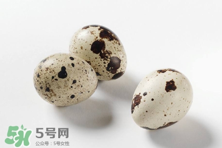 禽流感可以吃鵪鶉蛋嗎？禽流感期間能吃鵪鶉蛋嗎？