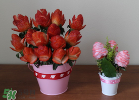 草莓花束怎么做？草莓花束怎么扎起來？