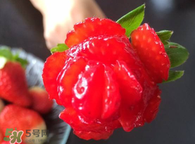 草莓花束怎么做？草莓花束怎么扎起來？