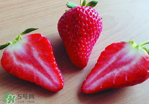 九九草莓多少錢一斤？99草莓價(jià)格是多少？