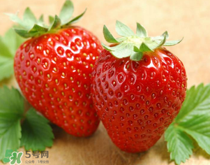 九九草莓好嗎？九九草莓和牛奶草莓區(qū)別 