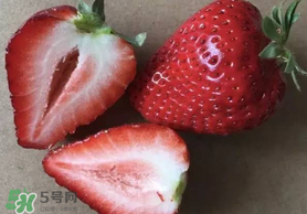 草莓空心能吃嗎？草莓空心怎么回事？
