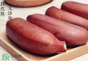 紅色香蕉和黃香蕉哪個好？紅香蕉和普通香蕉的區(qū)別