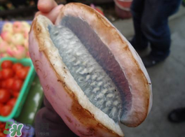 野香蕉可以吃嗎？野香蕉怎么吃？