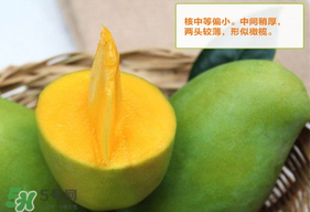 青芒果硬的能吃嗎？青芒果沒熟能吃嗎？