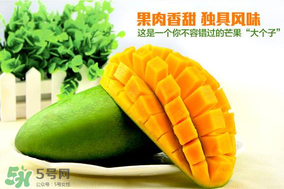 青芒果硬的能吃嗎？青芒果沒熟能吃嗎？