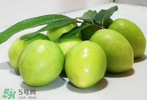 青棗什么時(shí)候上市？青棗什么時(shí)候成熟？