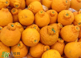丑橘是轉基因嗎？丑八怪是轉基因的嗎？