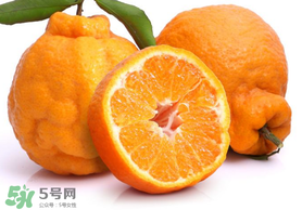 丑橘是轉基因嗎？丑八怪是轉基因的嗎？