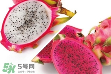 3月份有火龍果吃嗎？三月份可以吃火龍果嗎？
