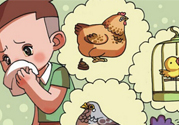 如何區(qū)分感冒和禽流感？禽流感和感冒的區(qū)別
