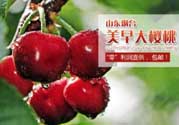 美早和黑珍珠哪個好吃？美早和黑珍珠的區(qū)別