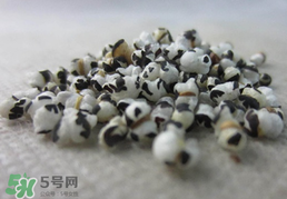 穿山甲下奶怎么吃？穿山甲下奶效果好嗎？