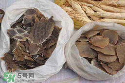穿山甲下奶怎么吃？穿山甲下奶效果好嗎？