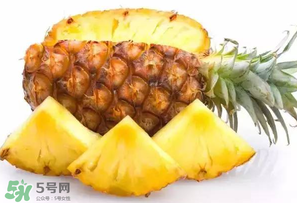菠蘿批發(fā)多少錢一斤？菠蘿批發(fā)價(jià)格